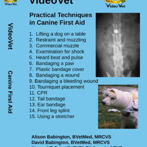 Canine First Aid