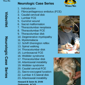 Neurologic Case Series (23 cases)